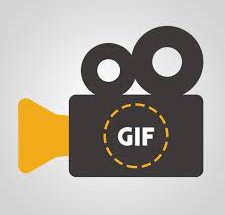 WonderFox Video to GIF Converter 1.2 Crack With Activation Key 2022