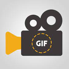 WonderFox Video to GIF Converter 1.2 Crack With Activation Key 2022